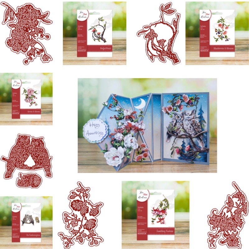 ผลไม้ทรงกลมยังคงเติบโตอยู่บนกิ - Candle Making Books For Beginners บทวิจารณ์และราคา